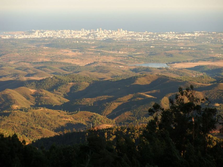 Monchique and Fóia: Half Day Tour - The Drive Up to Fóia: Where Evergreen Turns Into Open Horizon