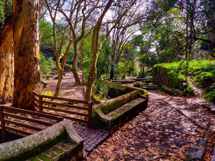 Monchique and Fóia: Half Day Tour - Price and Value: Is $64 for 3 Hours Worth It?