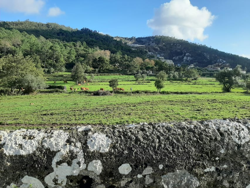 Monchique & Silves: guided day trip - Your Morning Rhythm: Van Time and the Pace of a 7-Hour Day