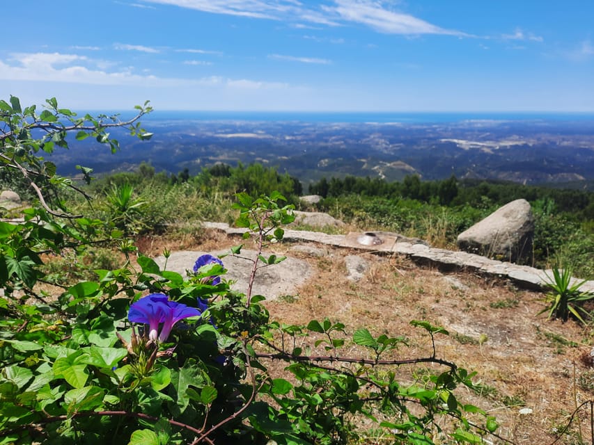 Monchique & Silves: guided day trip - The Cork Forest Visit: How This Stops Being a Sights-Only Tour