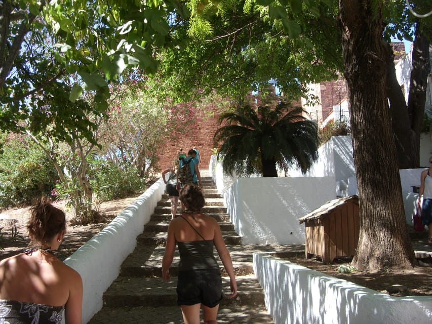 Monchique & Silves: guided day trip - Pico da Foía: Highest Point, Short Photo Break, Real View Payoff