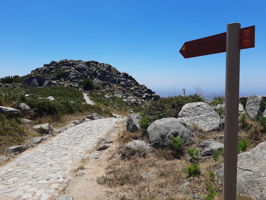 Monchique & Silves: guided day trip - Medronho Spirits and Honey Tastings: What You’ll Actually Remember