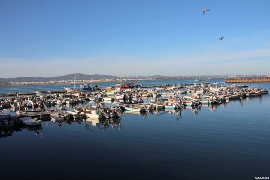 Olhão: 3 Islands Guided Sightseeing Tour with Lunch - Culatra Island plus lunch at a fisherman’s house: the heart of the day