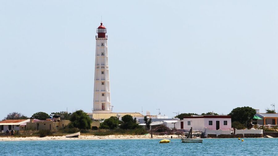 Olhão: 4-Hour Ria Formosa Islands Tour - Best timing and tide tips for more birds and better sandbank views