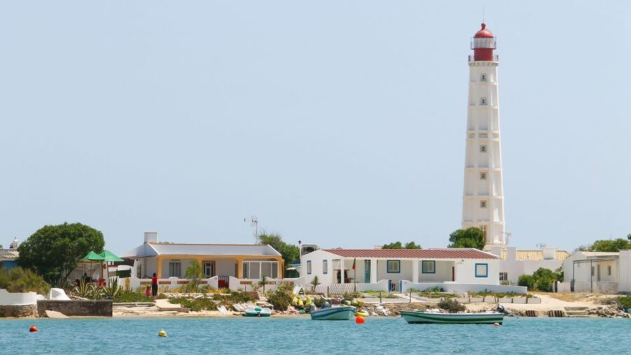 Olhão: 4-Hour Ria Formosa Islands Tour - Coming back through tuna factories and the Algarve fishing harbor
