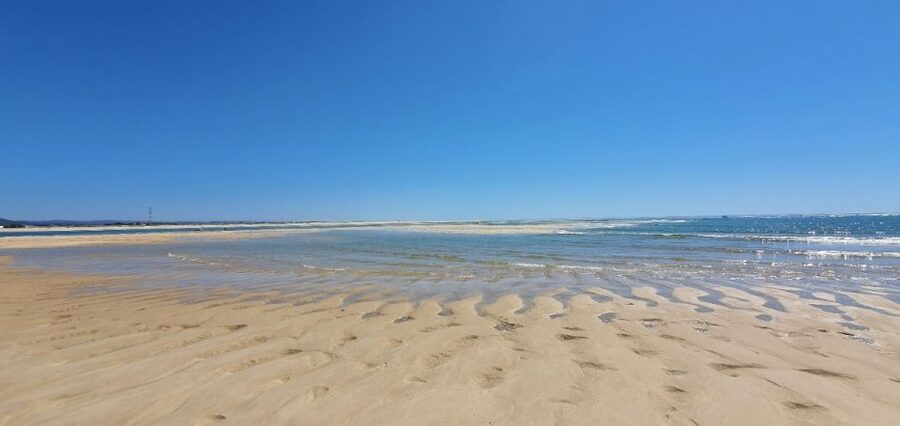 Olhão:5h ride 3 stops on the beaches and islands Ria Formosa - Key Points That Make This Tour Worth Your Time