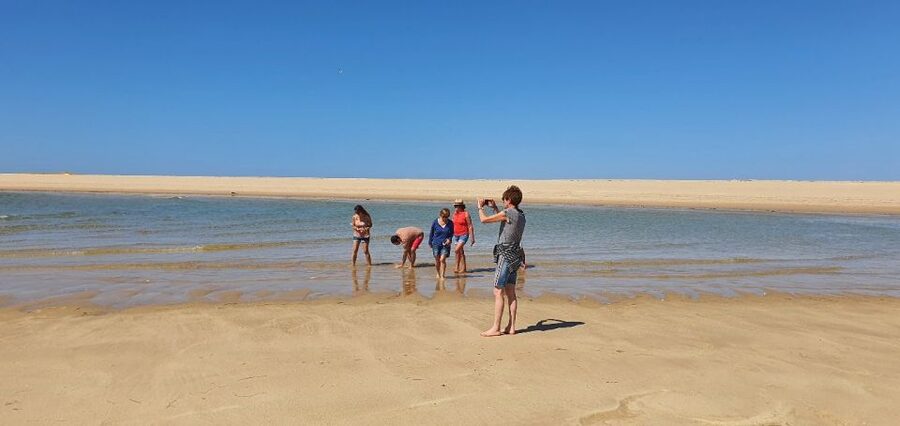 Olhão:5h ride 3 stops on the beaches and islands Ria Formosa - Ria Formosa in 5 Hours: Why This Area Feels Like Its Own World