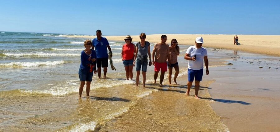 Olhão:5h ride 3 stops on the beaches and islands Ria Formosa - Armona Island Stop: Beach Time With a Coastal Community Feel