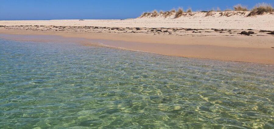 Olhão:5h ride 3 stops on the beaches and islands Ria Formosa - Who This Tour Fits Best (And Who Might Skip It)
