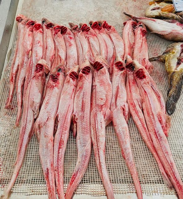 Olhão Fish Market & Food Tour - Where you meet at Hotel Real Marina, and how the tour starts