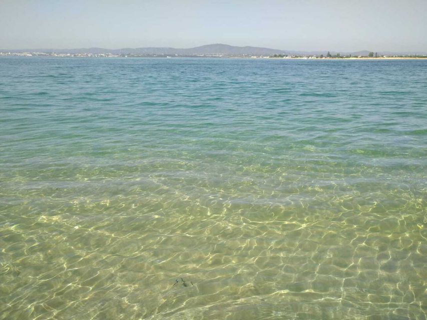 Olhão: Private Boat Tour to Ria Formosa - The Boat Setup: Sunshade, Life Vests, and Cold Drinks
