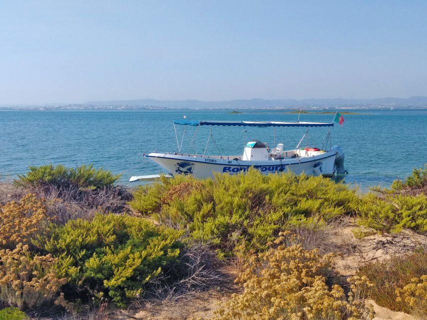 Olhão: Private Boat Tour to Ria Formosa - Armona: A Picture-Perfect Island Stop With Swim Potential