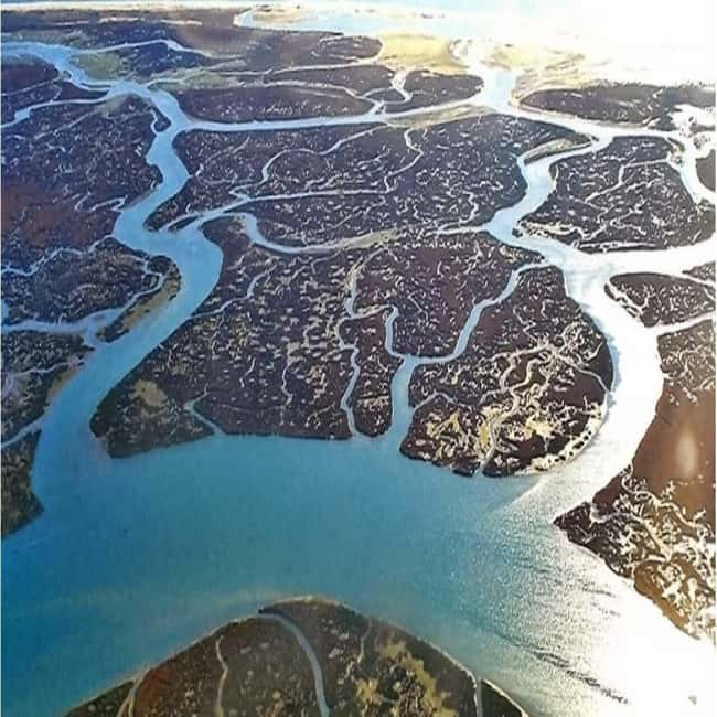 Olhão: Ria Formosa 2 Islands Boat Tour - The second cruise segments: how the marsh looks between stops