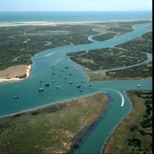Olhão: Ria Formosa 2 Islands Boat Tour - Nature details that make the tour feel grounded