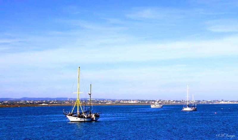 Olhão: Ria Formosa 3 Islands Guided Day Trip by Boat - Stop-by-Stop Breakdown: What You’ll Do and How It Feels