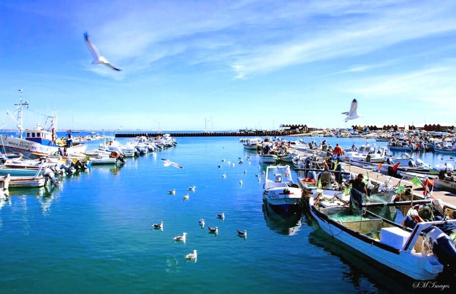 Olhão: Ria Formosa 3 Islands Guided Day Trip by Boat - Birdwatching Support: Binoculars, Tide Timing, and Migration Season