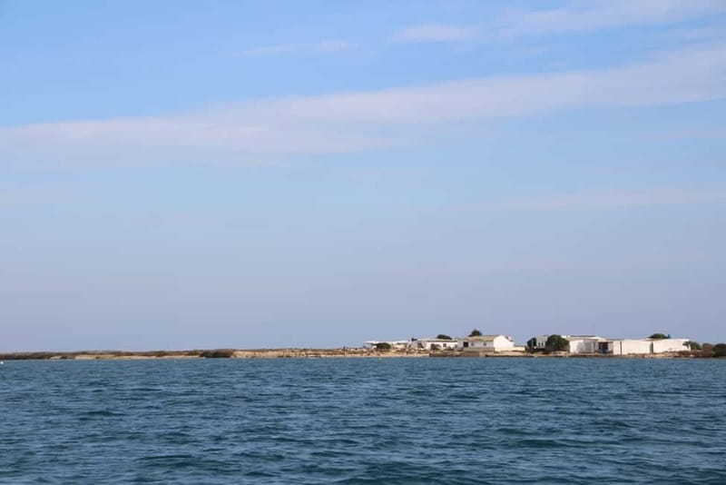 Olhão: Ria Formosa 3 Islands Guided Day Trip by Boat - Comfort Tips That Actually Help on an Island Boat Day