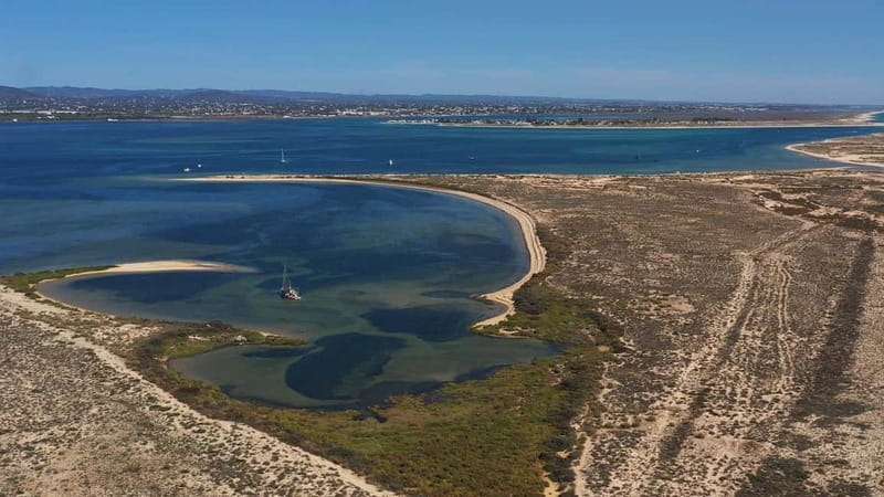 Olhão: Ria Formosa National Park Boat Cruise - Shared or private cruise: choosing the right atmosphere