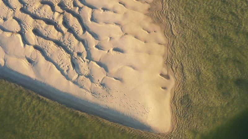 Olhão: Ria Formosa National Park Boat Cruise - Stop 2: the run to Culatra, and why this island is the main event