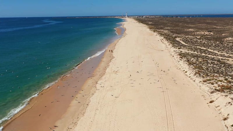 Olhão: Ria Formosa National Park Boat Cruise - Stop 3: Culatra Island free time, lunch options, and island walks