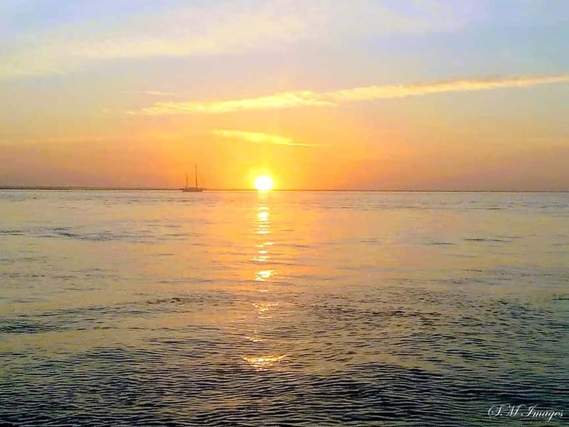 Olhão: Ria Formosa Tour - Key things I’d plan around