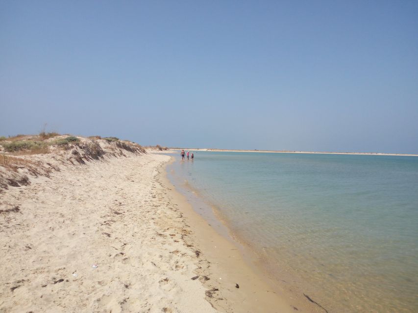 Passeio Barco na Ria Formosa 5H - Stop 2, Ilha do Farol and a different island feel