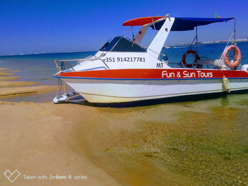 Passeio Barco na Ria Formosa 5H - Price and value: is $45 per person fair?