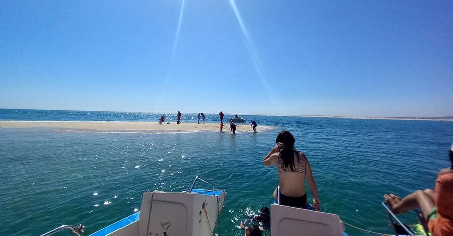 Passeio de barco na Ria Formosa 3H - Ria Formosa in 3 hours, without rushing your way through it