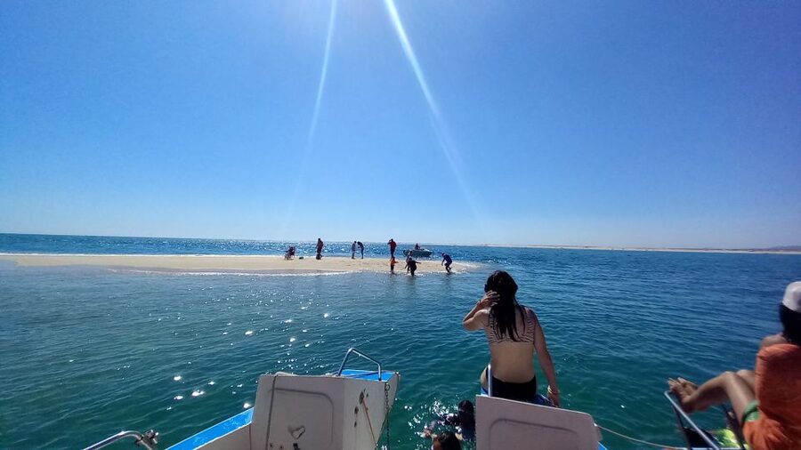 Passeio de barco na Ria Formosa 3H - Boarding the 6-metre catamaran: easy access, small-group energy
