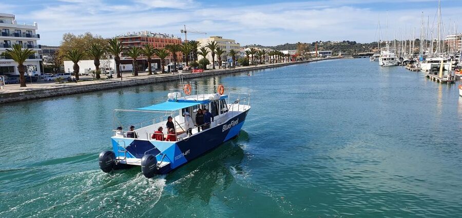 Ponta da Piedade: Half-Day Cruise with Lunch from Lagos - What to Bring, and the Rules That Keep the Trip Smooth