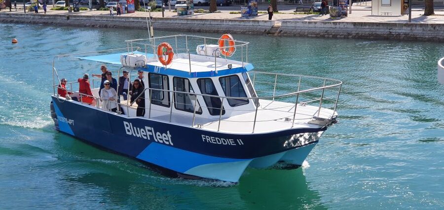 Ponta da Piedade: Half-Day Cruise with Lunch from Lagos - Meeting in Lagos: Where You Go and What You Should Know