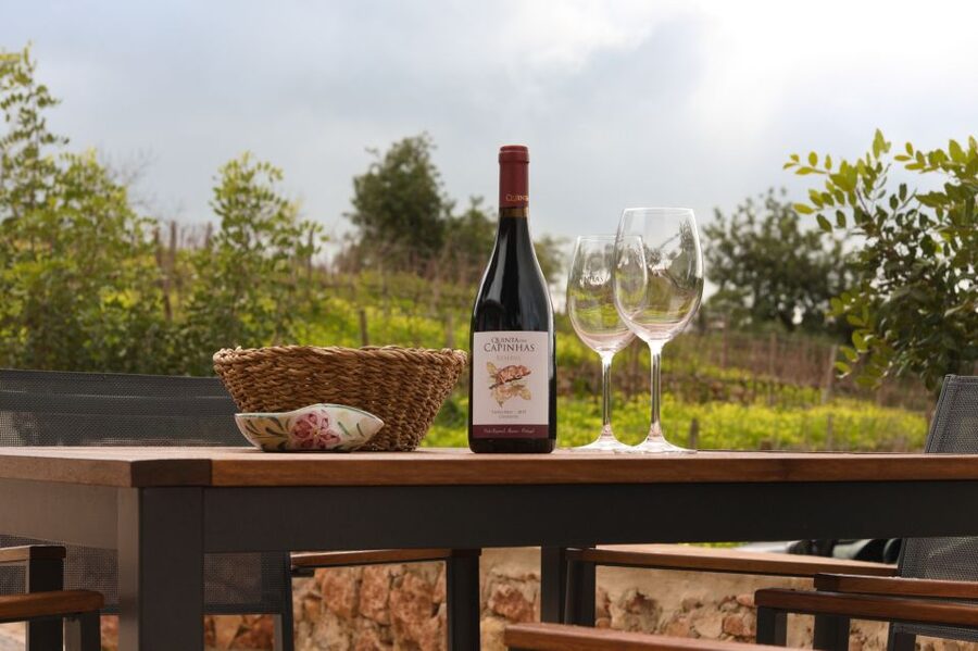 Porches: Algarve Vineyard Tour and Wine Tasting Experience - Booking this Porches wine tasting: should you go?