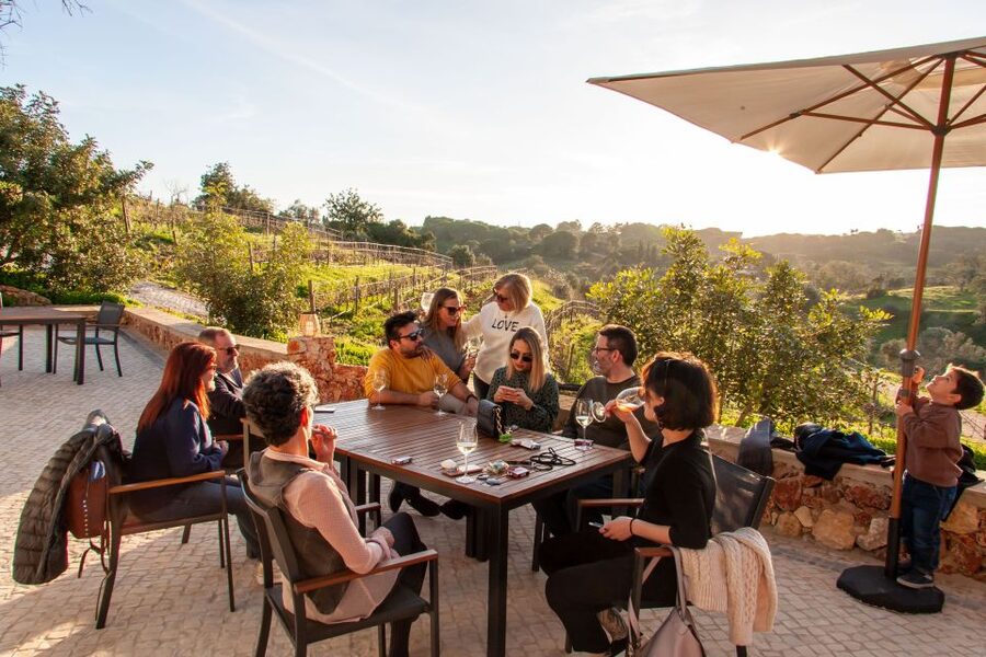 Porches: Algarve Vineyard Tour and Wine Tasting Experience - Quinta dos Capinhas near Albufeira and Portimão, not a factory tour