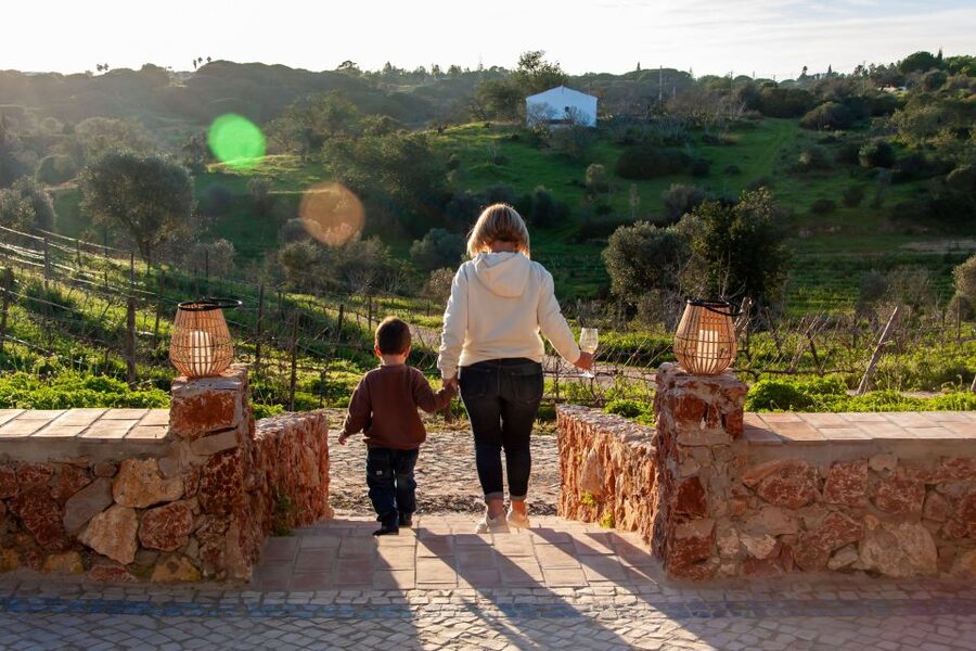 Porches: Algarve Vineyard Tour and Wine Tasting Experience - The scenic walk: why the vineyard stroll is more than a photo op