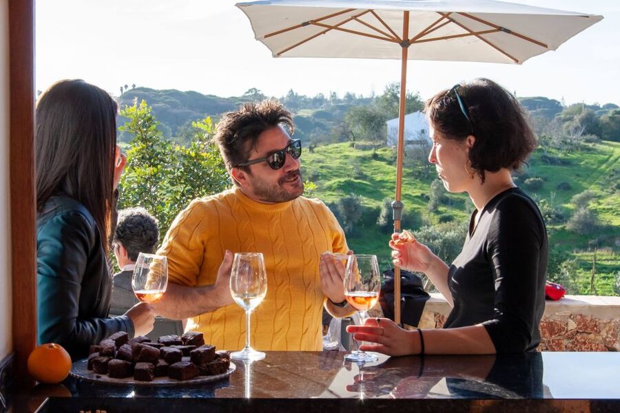 Porches: Algarve Vineyard Tour and Wine Tasting Experience - Price and value: what you’re paying for