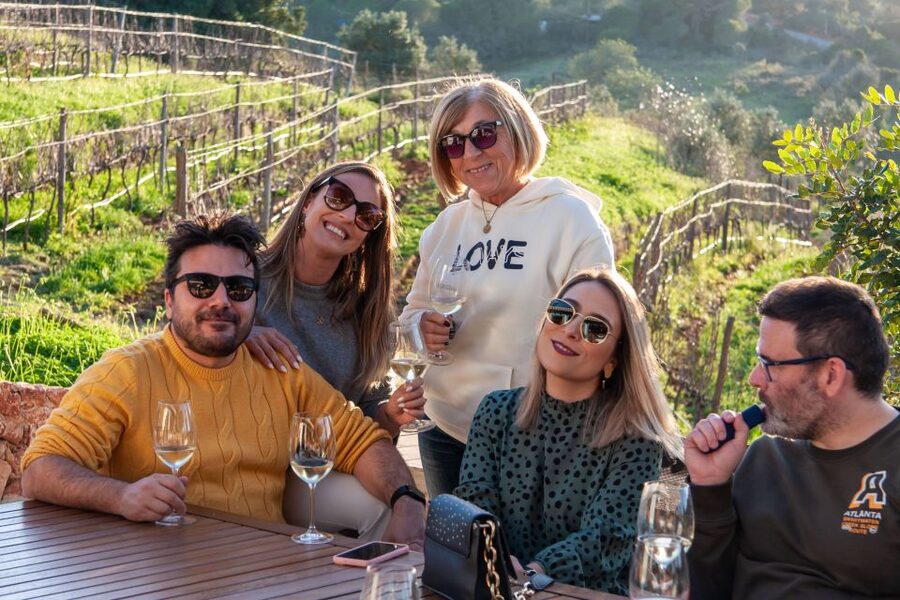 Porches: Algarve Vineyard Tour and Wine Tasting Experience - Who this experience suits best, and who should skip it