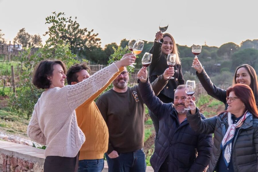 Porches: Algarve Vineyard Tour and Wine Tasting Experience - Language options and what that means for your comfort