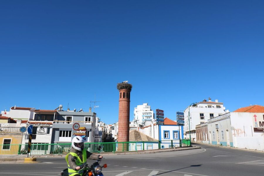 Portimão: 3-Hour Food and Historical Center Tour - The historic centre walk: old streets and Praça Manuel Teixeira Gomes