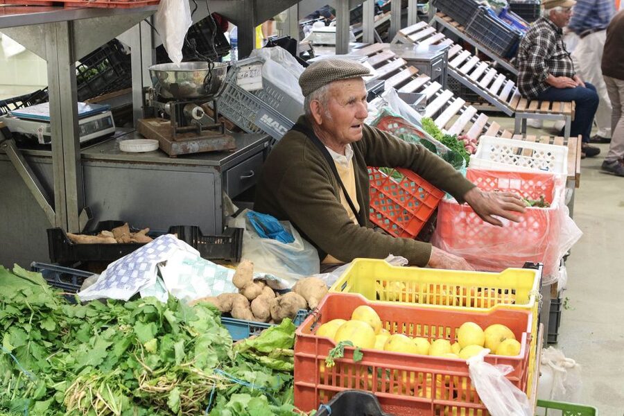 Portimão: 3-Hour Food and Historical Center Tour - Starting at Portimão’s market, where you taste before you tour