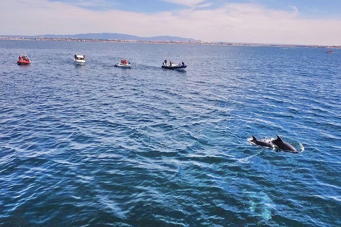 Portimão: Benagil Caves Speedboat Tour - Stop by Carvoeiro: why the first views matter
