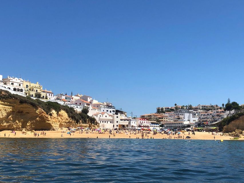 Portimão: Dophin Watching on the Algarve Coast - Portimão Dolphin Watching: What You’re Really Buying