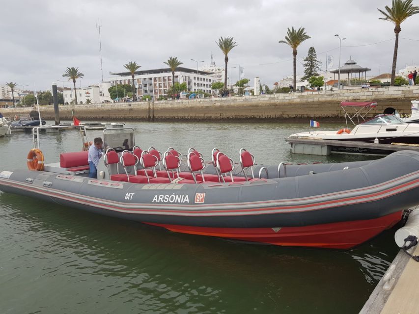Portimão: Dophin Watching on the Algarve Coast - What’s Included, What’s Not, and the Hidden Comfort Stuff