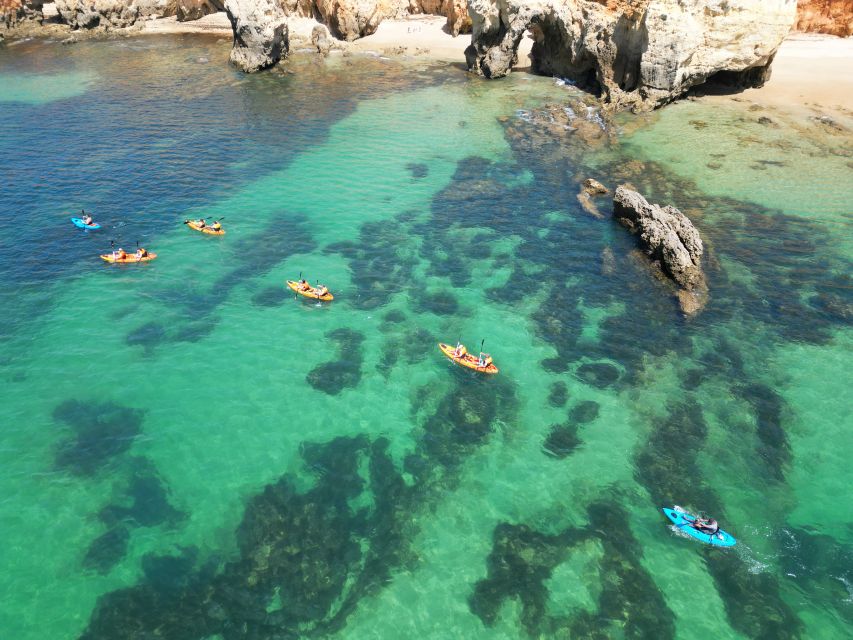 Portimão: Small Group Kayak Cave and Cliff Tour - Key highlights worth planning for