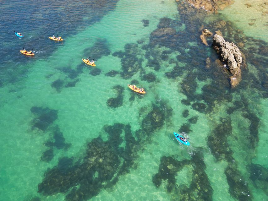 Portimão: Small Group Kayak Cave and Cliff Tour - What Happens on the Return Back to Praia do Vau