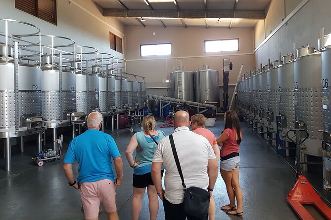 Private Algarve Wines Route - Stop 2: Quinta João Clara and Its 14 Hectares of Grapes