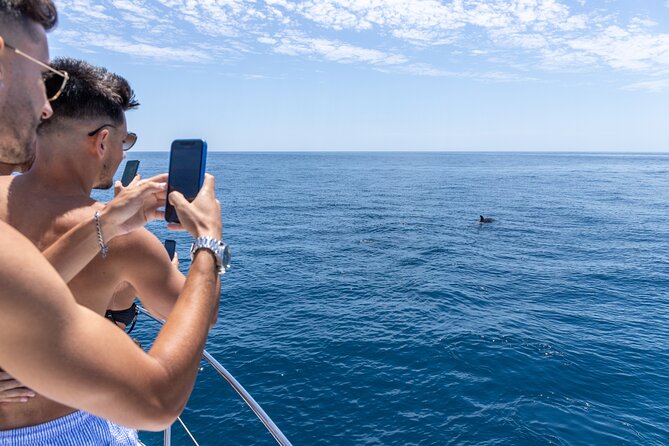 Private Coastline and Dolphins Yacht Cruise from Albufeira - Getting on board at Marina de Albufeira, and why timing matters
