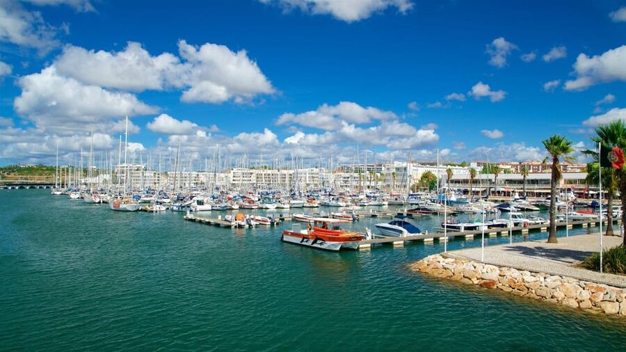 Private Tour Algarve Premium - Sagres and the Lighthouse of Cabo de São Vicente