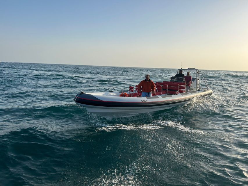Quarteira: Algarve Coast, Caves and Dolphin Watching Cruise - Photo and comfort strategy for a 2-hour cruise