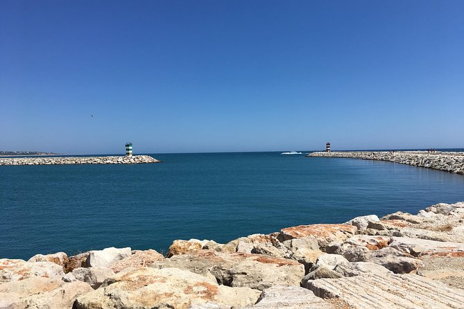Quarteira and Vilamoura Seaside Segway Tour - The fish market browsing at the end, and how to use it for dinner