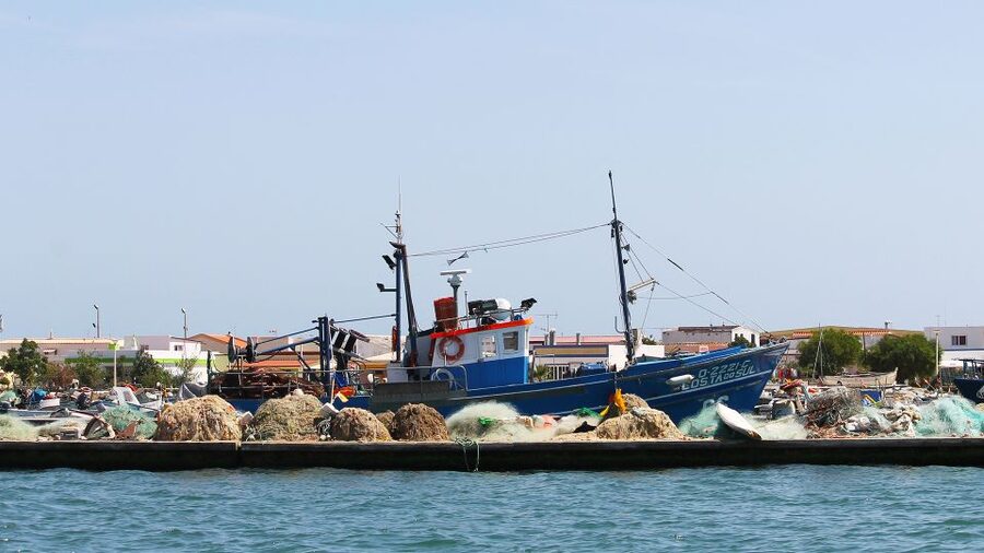 Ria Formosa: 2-Hour Fishermen Route Boat Tour - Why Ria Formosa and the Fishermen Route Feel Worth It